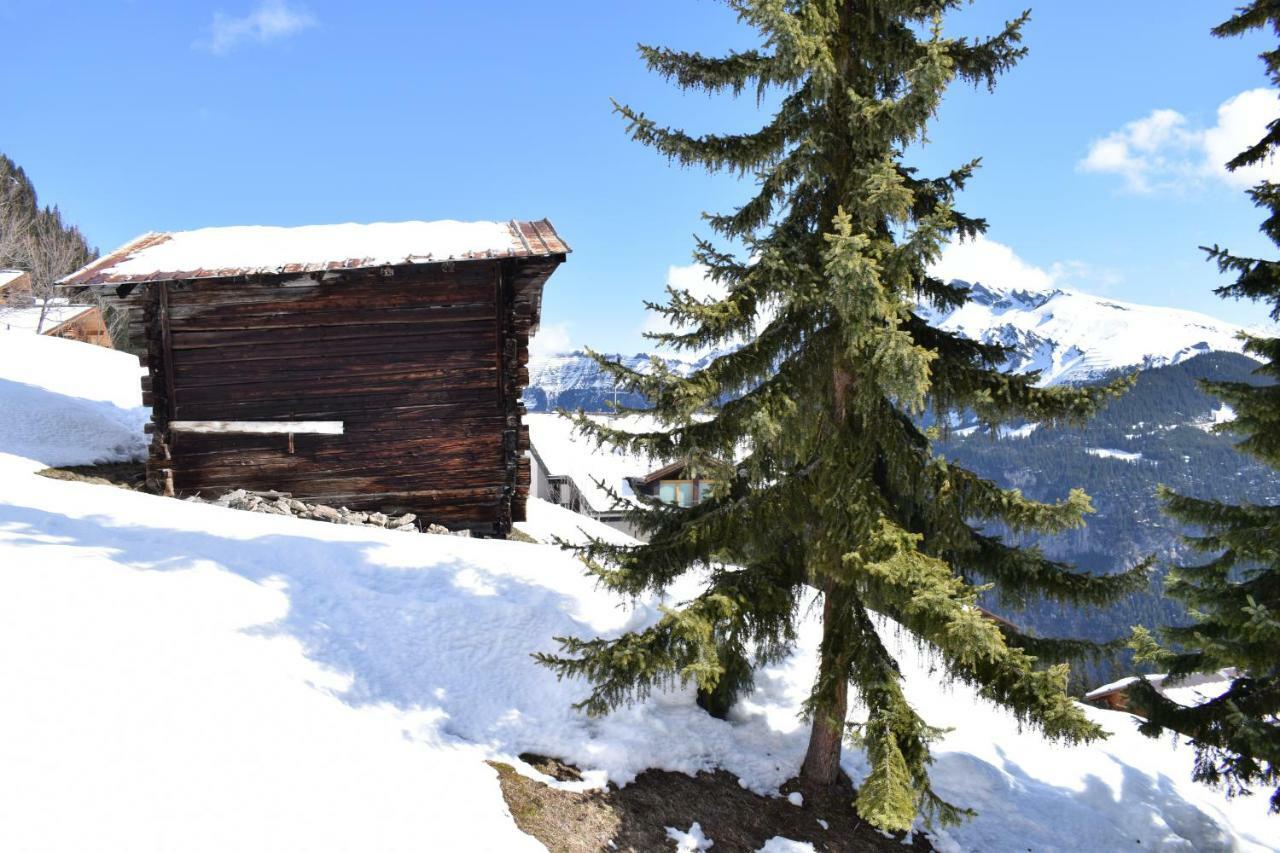 Sportlodge Muerren Dış mekan fotoğraf